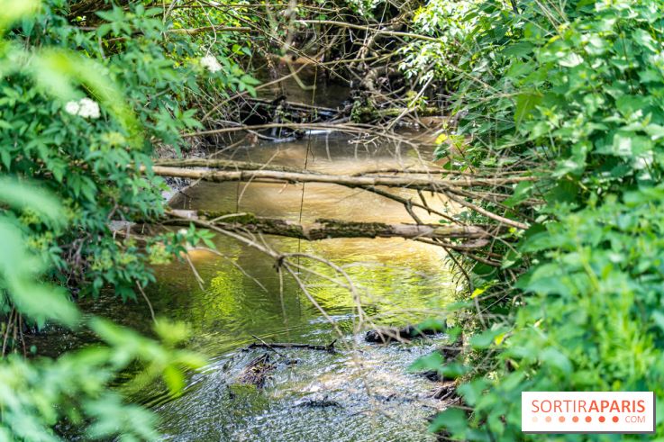 Sentier découverte de Maincourt - Vallée de Chevreuse -  A7C4065