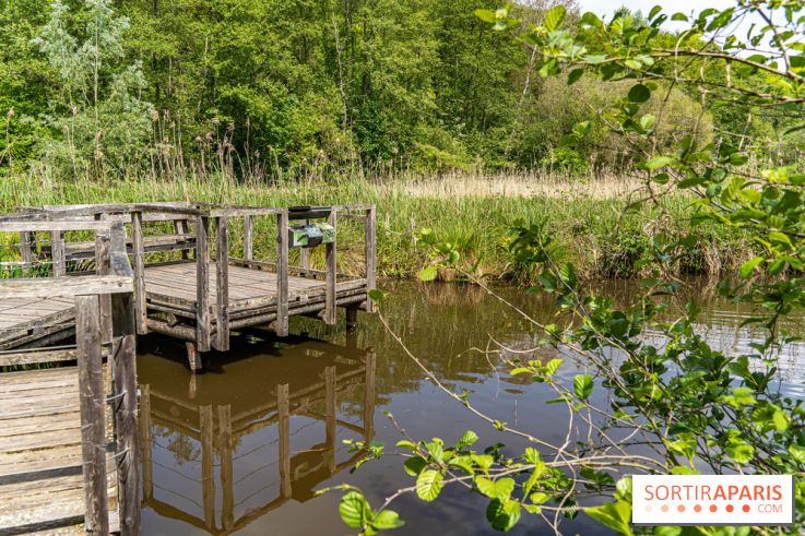 Sentier découverte de Maincourt - Vallée de Chevreuse -  A7C4066