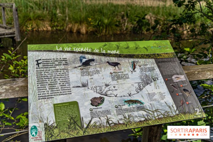 Sentier découverte de Maincourt - Vallée de Chevreuse -  A7C4079