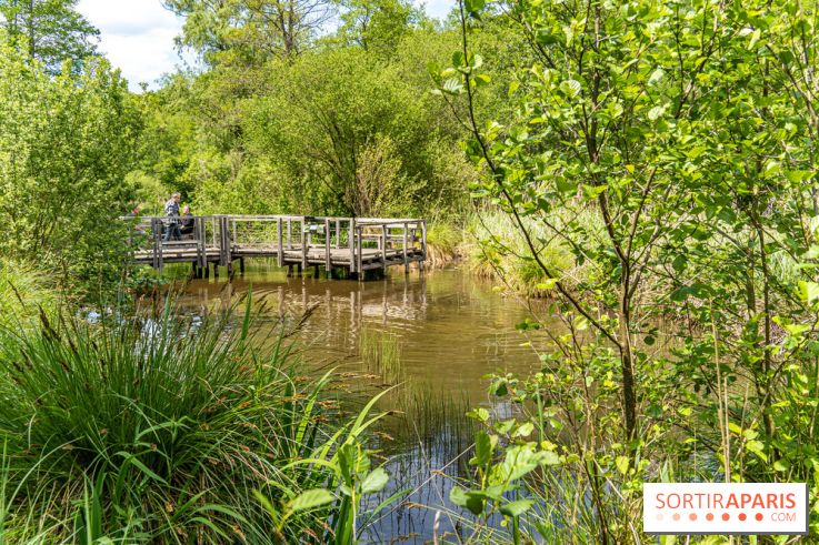 Sentier découverte de Maincourt - Vallée de Chevreuse -  A7C4081
