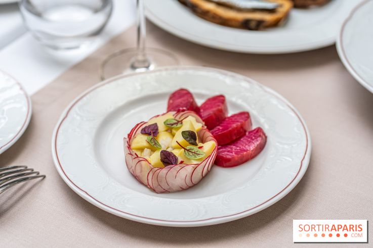 Les Caryatides restaurant de l'Hôtel Alfred Sommier -  A7C3317