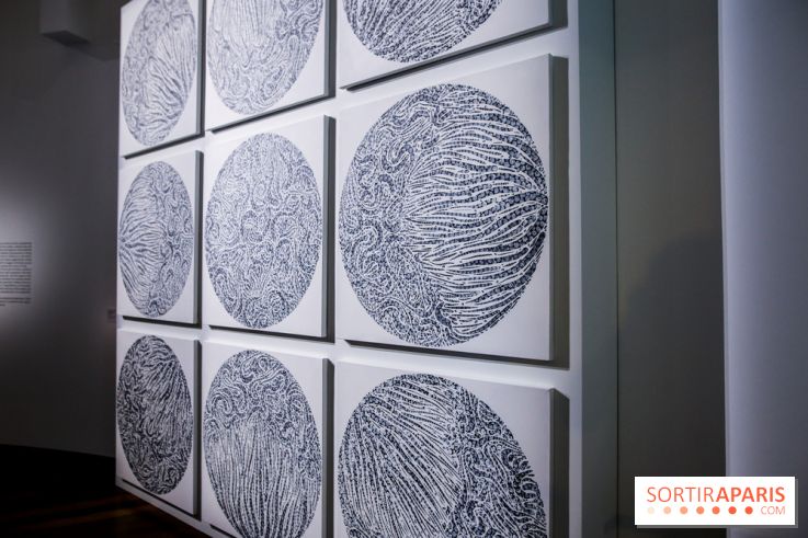 Carte blanche à Park Dong Soo au musée Guimet, nos photos
