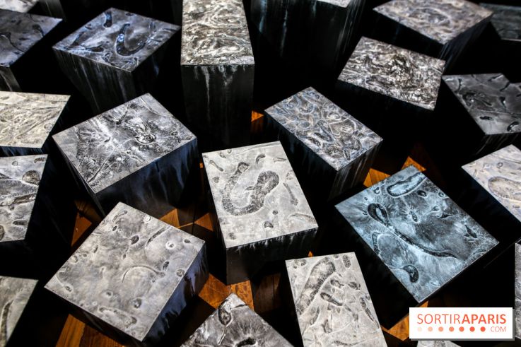 Carte blanche à Park Dong Soo au musée Guimet, nos photos - IMG 0099