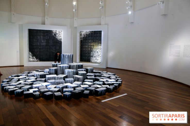 Carte blanche à Park Dong Soo au musée Guimet, nos photos - IMG 0100