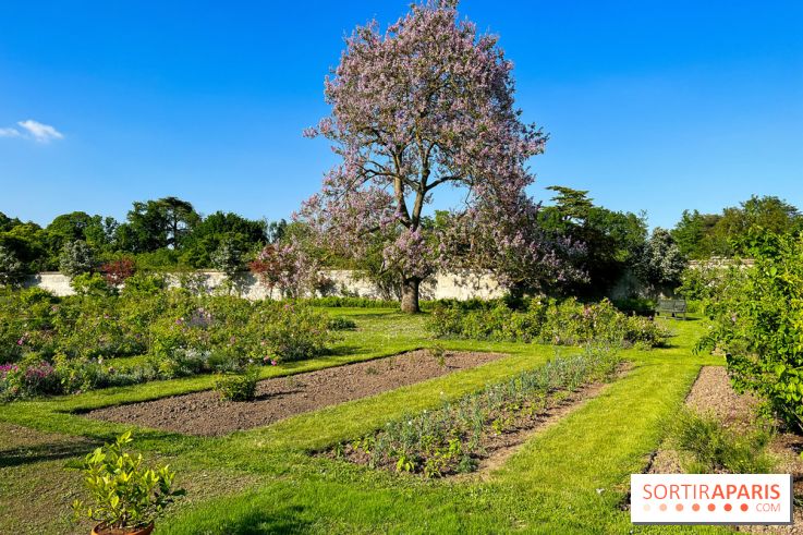 Le Jardin du Parfumeur à Versailles - image00002