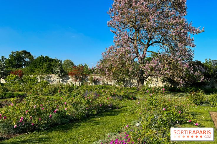 Le Jardin du Parfumeur à Versailles
