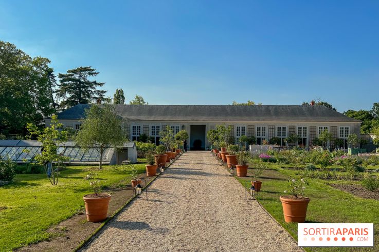 Le Jardin du Parfumeur à Versailles - image00008