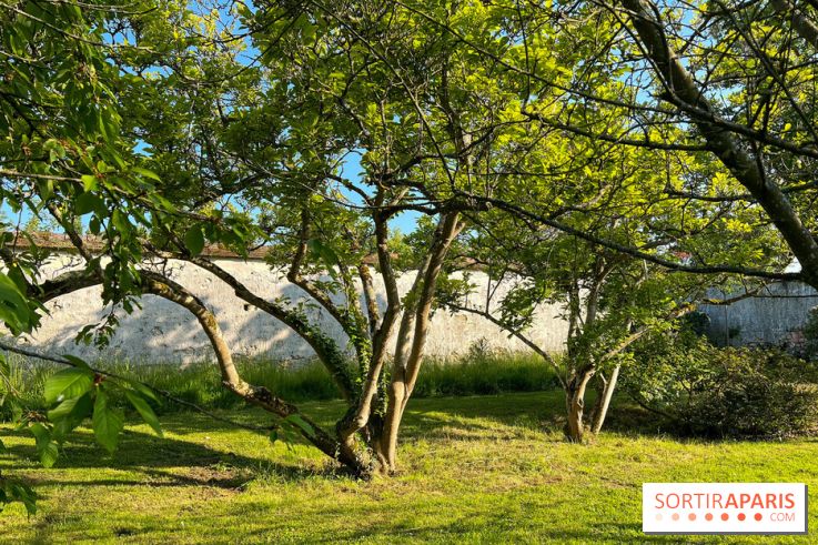 Le Jardin du Parfumeur à Versailles - image00010