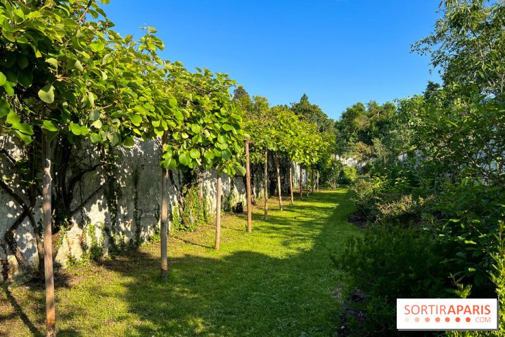 Le Jardin du Parfumeur à Versailles - image00011