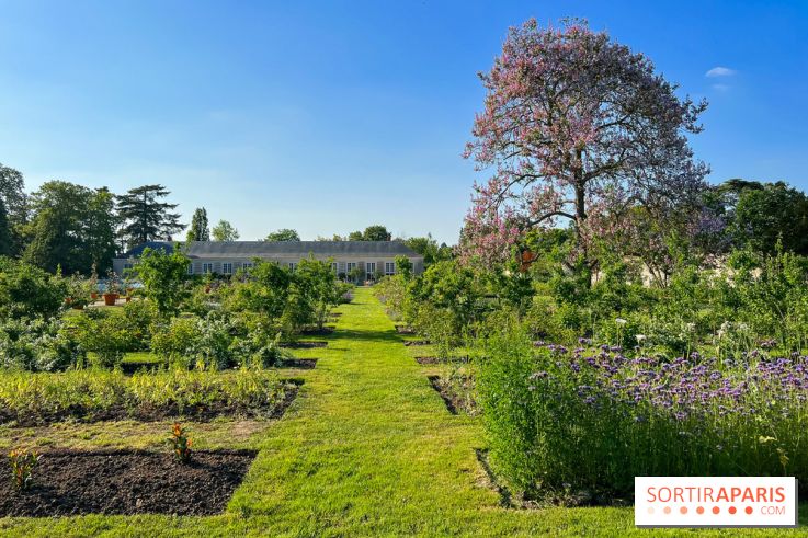 Le Jardin du Parfumeur à Versailles - image00012