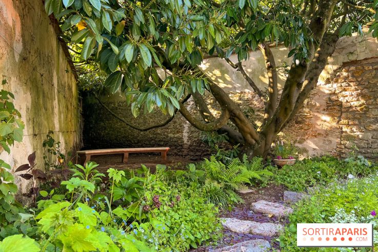 Le Jardin du Parfumeur à Versailles - image00013