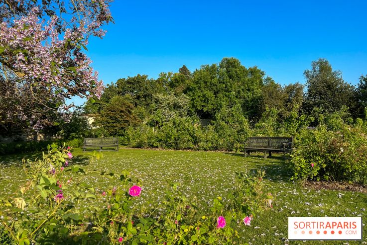 Le Jardin du Parfumeur à Versailles - image00021