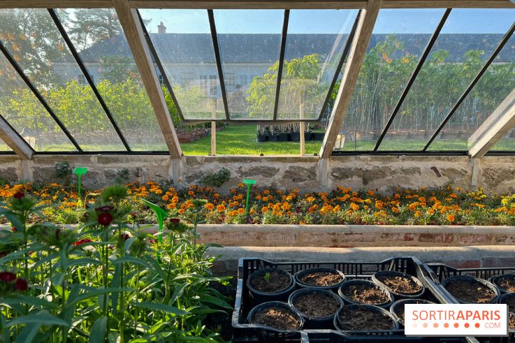 Le Jardin du Parfumeur à Versailles - image00022