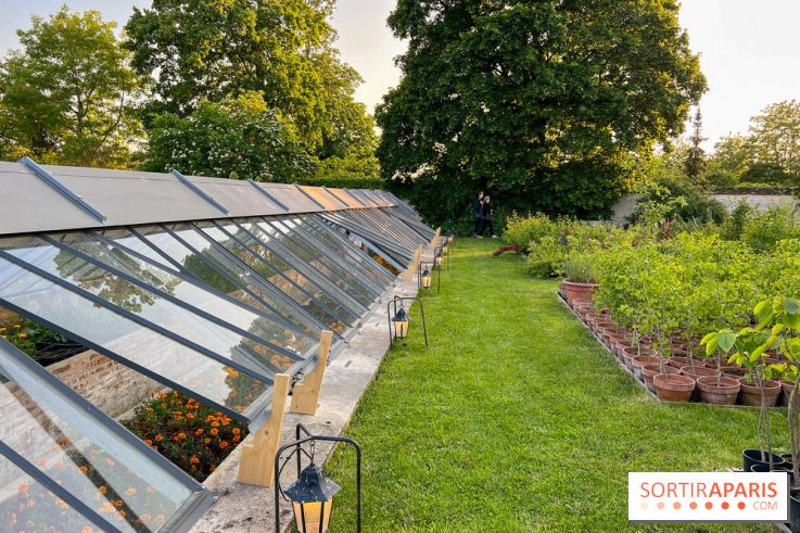 Le Jardin du Parfumeur à Versailles - image00023