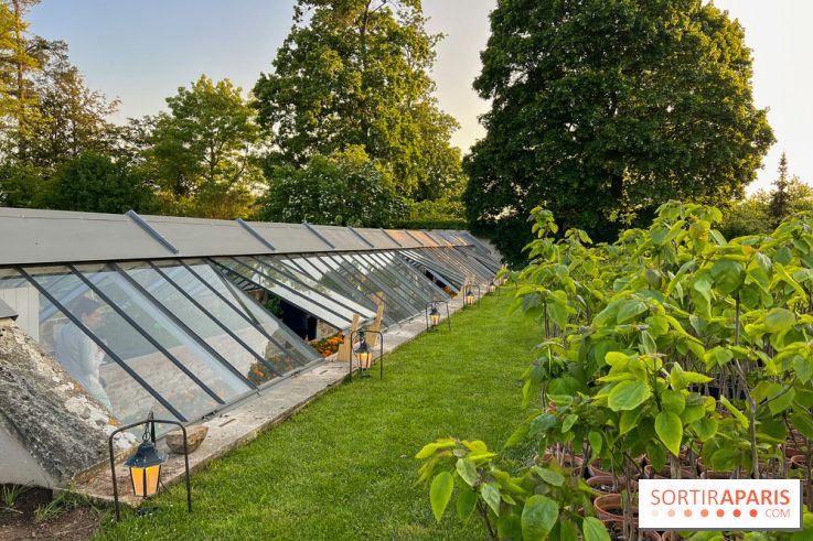 Le Jardin du Parfumeur à Versailles - image00027