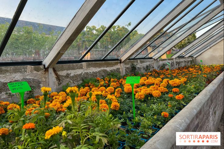 Le Jardin du Parfumeur à Versailles - image00030