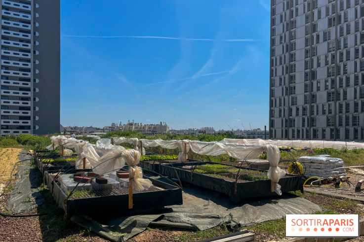 Les toits de Beaugrenelle
