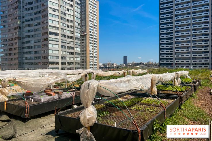 Les toits de Beaugrenelle
