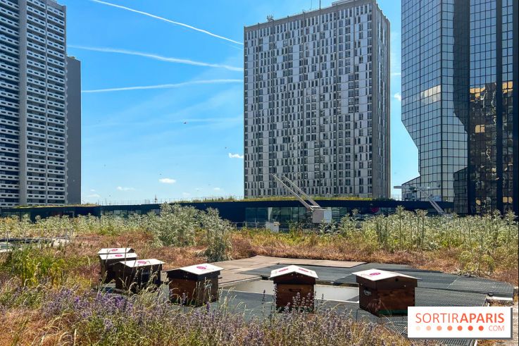 Les toits de Beaugrenelle