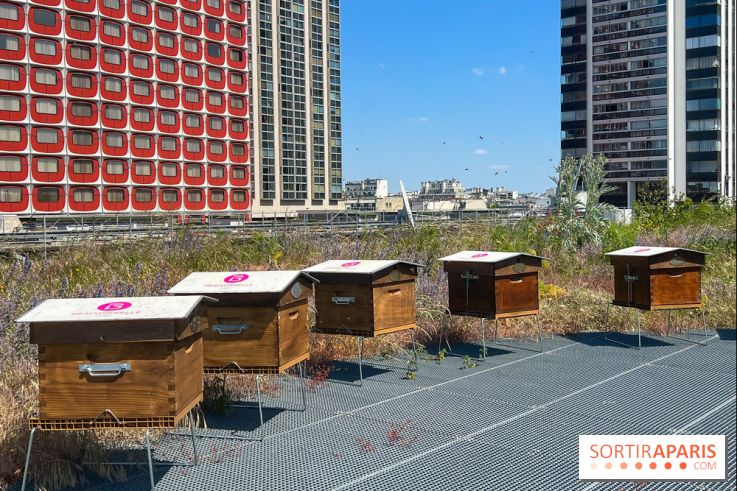 Les toits de Beaugrenelle