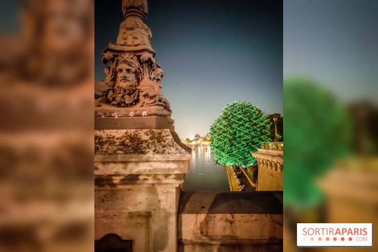 Nuit Blanche 2023 : des projections lumineuses magiques au Square du Vert Galant de l'Île de la Cité - IMG20230603001220