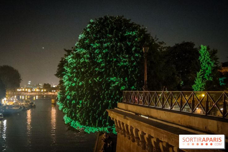 Nuit Blanche 2023 : des projections lumineuses magiques au Square du Vert Galant de l'Île de la Cité