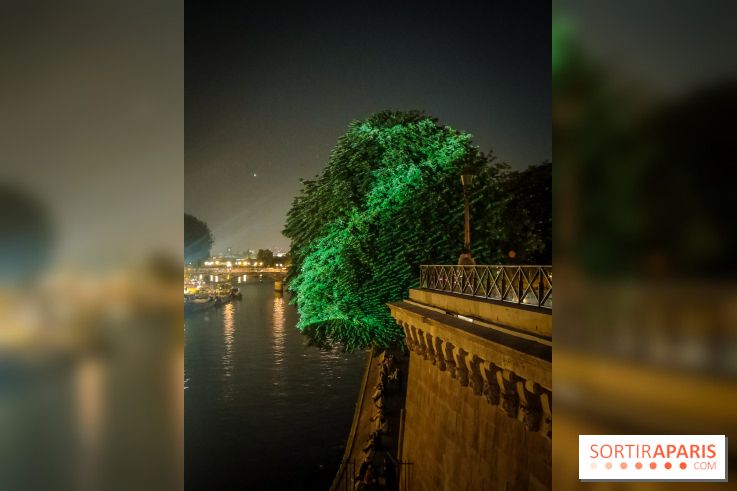 Nuit Blanche 2023 : des projections lumineuses magiques au Square du Vert Galant de l'Île de la Cité