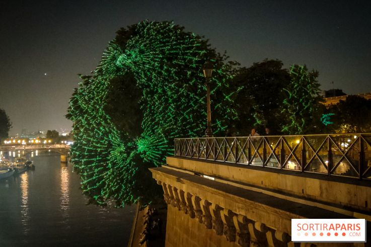 Nuit Blanche 2023 : des projections lumineuses magiques au Square du Vert Galant de l'Île de la Cité