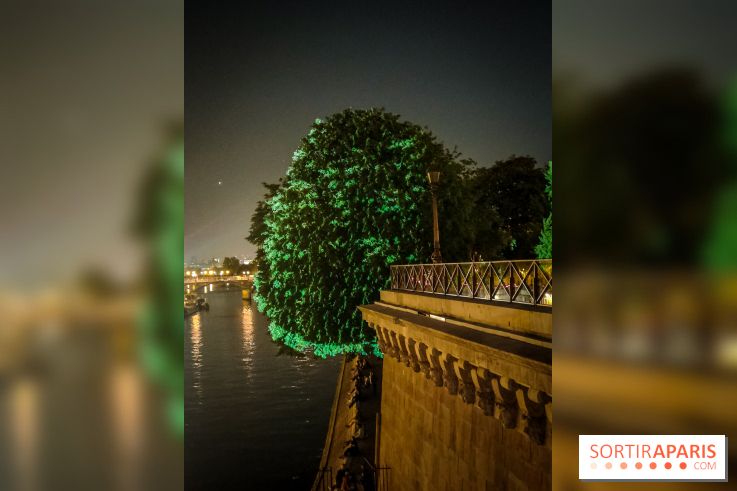 Nuit Blanche 2023 : des projections lumineuses magiques au Square du Vert Galant de l'Île de la Cité