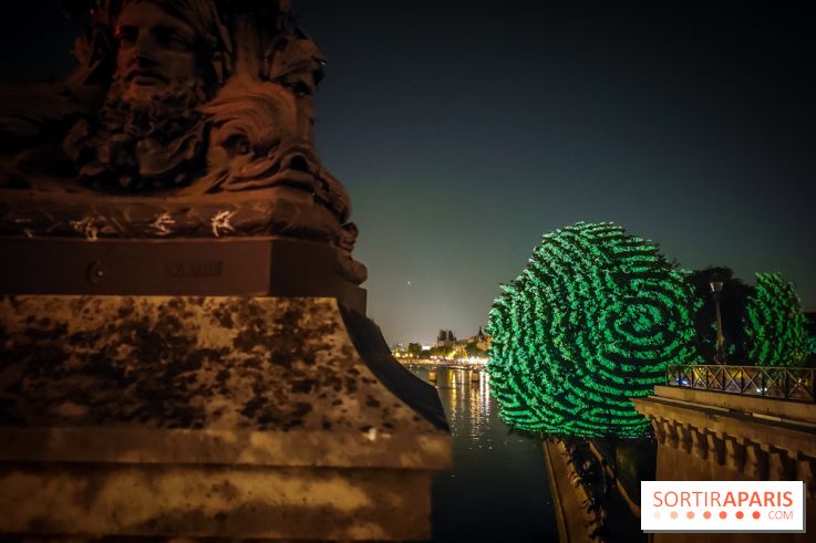 Nuit Blanche 2023 : des projections lumineuses magiques au Square du Vert Galant de l'Île de la Cité