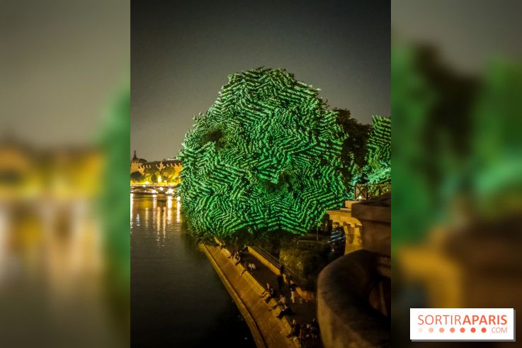 Nuit Blanche 2023 : des projections lumineuses magiques au Square du Vert Galant de l'Île de la Cité