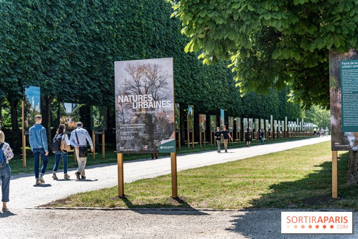 Le Gué, l'installation éphémère du Domaine de Sceaux qui fait marcher sur l'eau