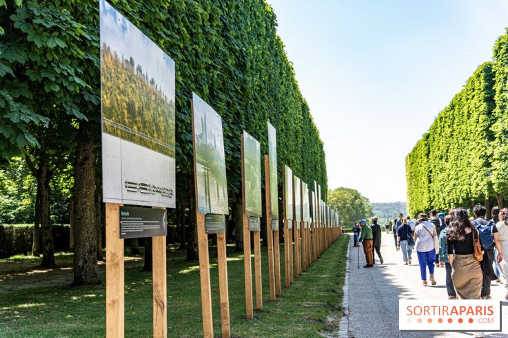 Le Gué, l'installation éphémère du Domaine de Sceaux qui fait marcher sur l'eau