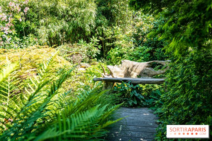 Les Jardins de Sonja au Perray-en-Yvelines -  A7C4943