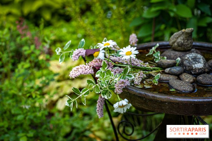 Les Jardins de Sonja au Perray-en-Yvelines -  A7C5023