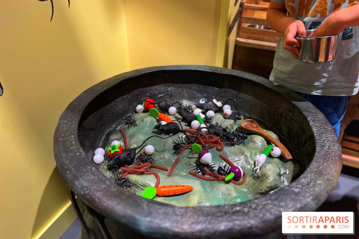 La Maison des Histoires - IMG 3024