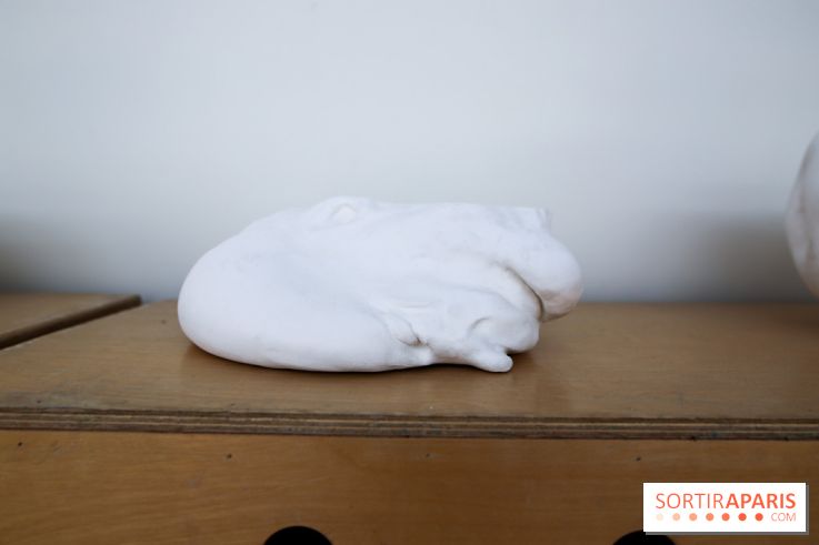 De(s)rives 2023 : nos photos de l'expo insolite au gymnase Huyghens