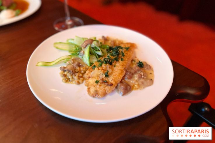 Mistinguett - Filet de Saint-Pierre