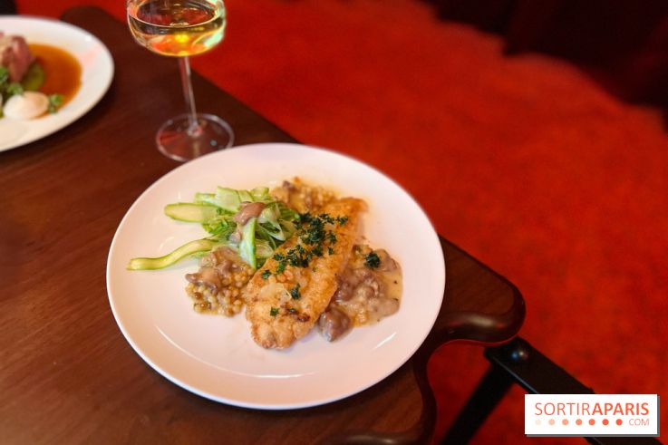 Mistinguett - Filet de Saint-Pierre