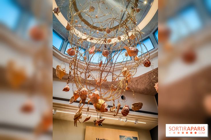 Musée de l'histoire de l'immigration : un musée pédagogique pour voir l'Histoire de France autrement - collections permanentes