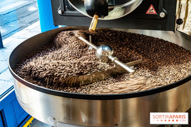 Blondie - coffee shop - torréfacteur  -  A7C5671