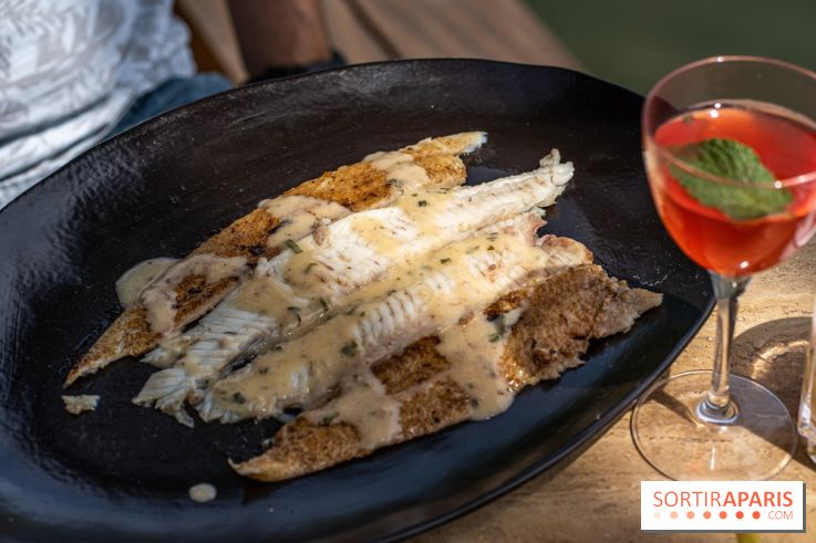 Perchoir Y, restaurant par Guillaume Sanchez et guinguette en forêt -  A7C5807