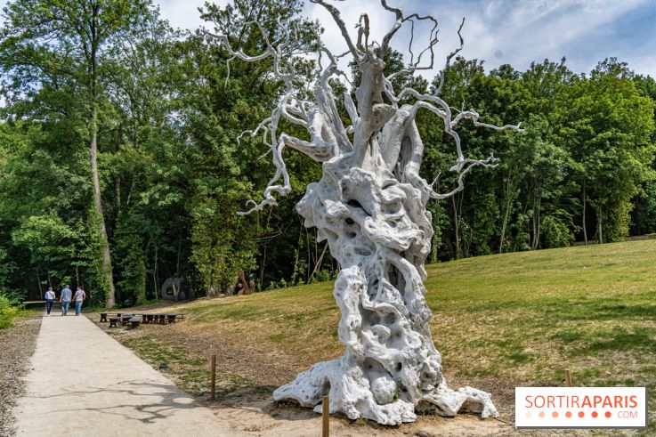 Perchoir Y, restaurant par Guillaume Sanchez et guinguette en forêt