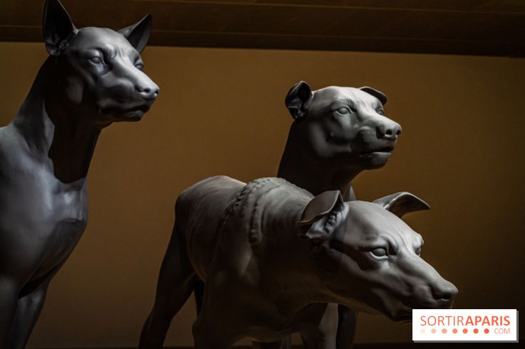 Exposition Ron Mueck à la Fondation Cartier 2023 -  A7C6436