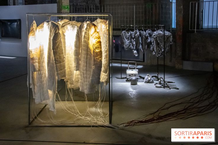 Expositions d'été au Palais de Tokyo Laura Lamiel