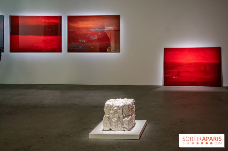 Expositions d'été au Palais de Tokyo Laura Lamiel