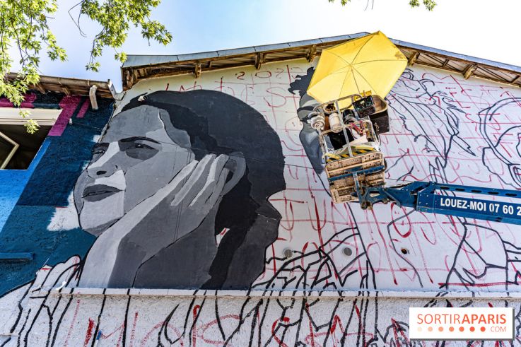 Street Art Avenue, l'expo street art le long du Canal Saint-Denis, d'Aubervilliers à Paris La Villette -  A7C6235