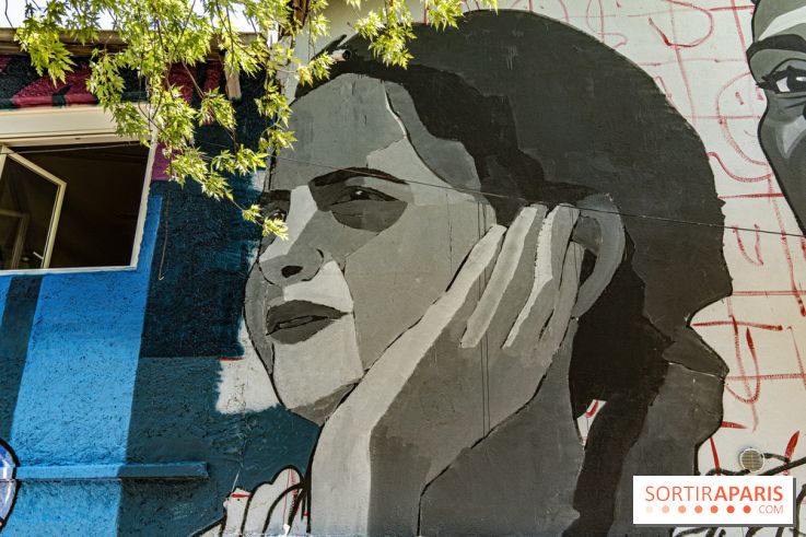 Street Art Avenue, l'expo street art le long du Canal Saint-Denis, d'Aubervilliers à Paris La Villette -  A7C6248