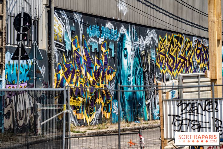 Street Art Avenue, l'expo street art le long du Canal Saint-Denis, d'Aubervilliers à Paris La Villette -  A7C6268