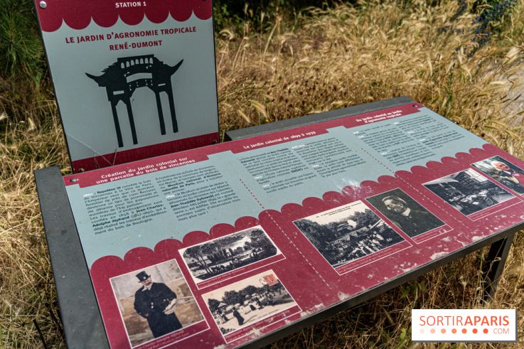 Jardin d'Agronomie Tropicale, le jardin exotique à Paris -  A7C6803
